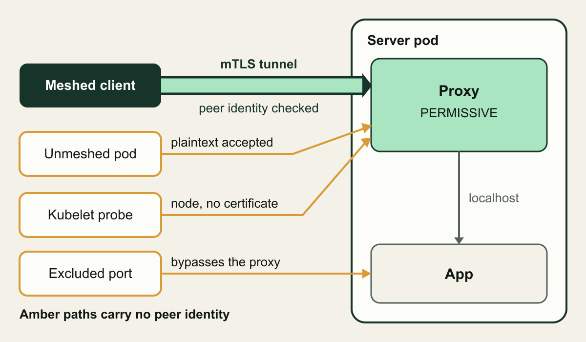 Illustration. A meshed client on the left reaches a server pod on the right through a doubled tunnel labeled mTLS tunnel and peer identity checked, ending at a proxy box marked PERMISSIVE. Below it, three amber lines arrive without the tunnel: from an unmeshed pod, labeled plaintext accepted, and from a kubelet probe, labeled node, no certificate, both into the proxy, and from an excluded port, labeled bypasses the proxy, straight into the app box. A note reads amber paths carry no peer identity.