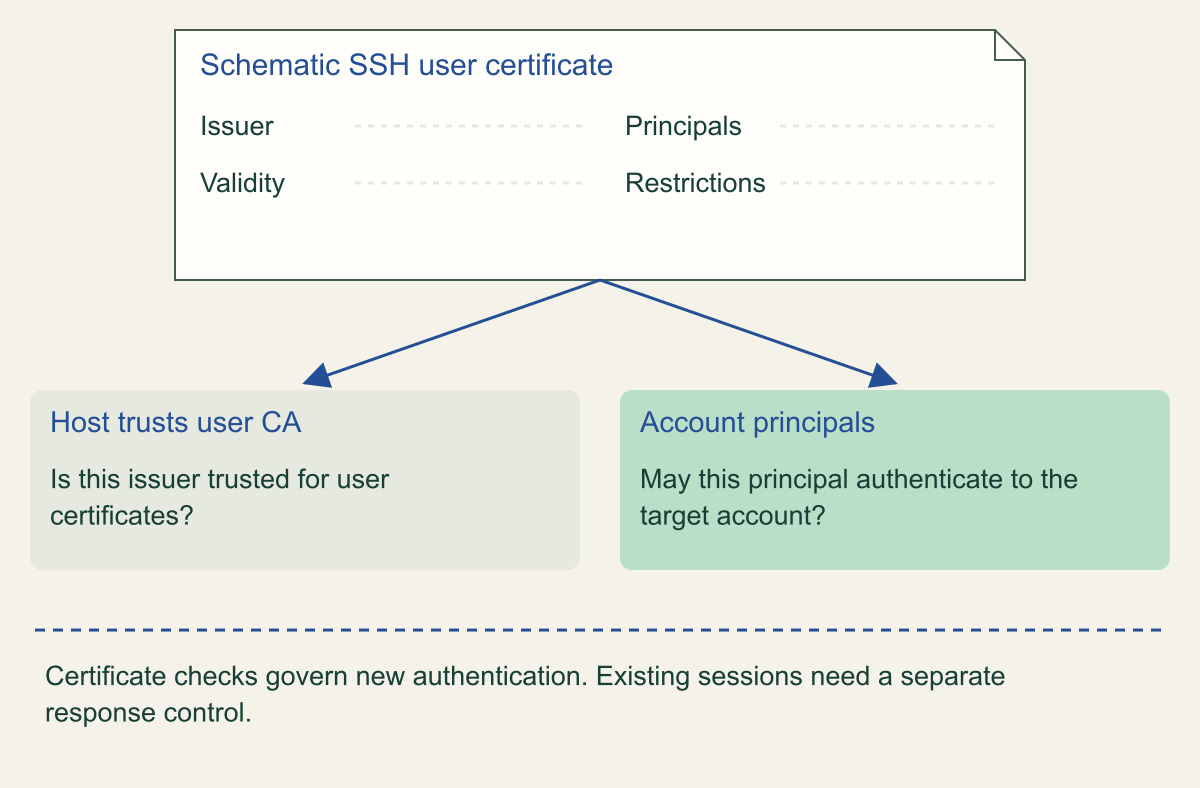 Schematic SSH user certificate shows issuer, principals, validity and restrictions, followed by distinct user-CA trust and account-principal checks. It contains no real credential.