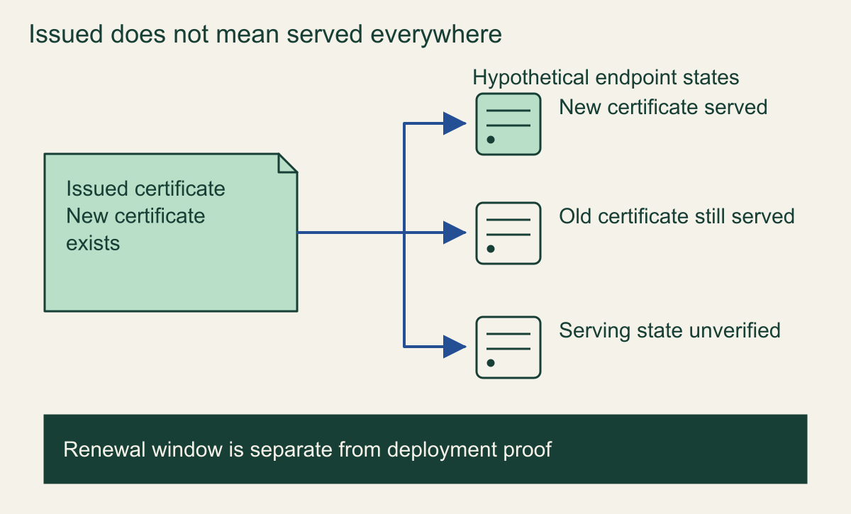 An issued certificate branches to hypothetical endpoints serving the new certificate, still serving the old one or awaiting verification; renewal is a separate ribbon.